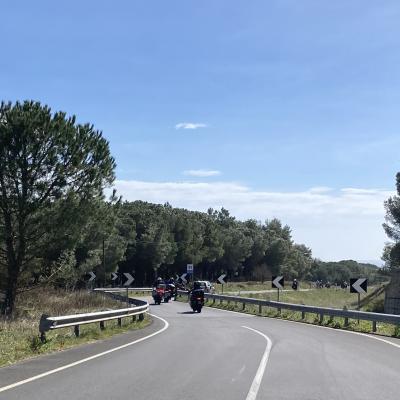 012 Attraversiamo Il Bosco Della Contessa