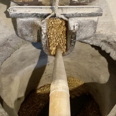 017 Una Tradizione Familiare Che Rinnova Da Secoli La Magia Del Grano Che Si Trasforma In Farina