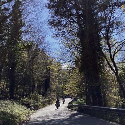 033 Tra I Boschi Della Ss185