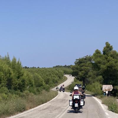 111 Artemisia Village