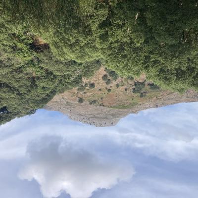 047 Il Monte Scuderi E Una Montagna Della Catena Dei Peloritani Alta 1 253 Metri La Vetta E Perfettamente Pianeggiante E Forma Una Grande Terrazza Jpeg