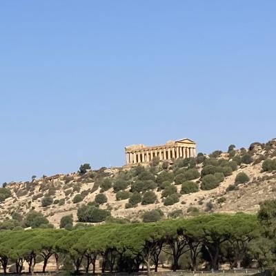 004 Il Tempio Della Concordia
