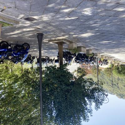 041 Ci Trasferiamo In Piazza Del Popolo Per Il Parcheggio Delle Moto