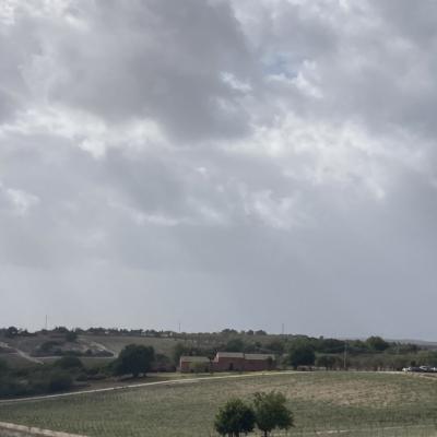 008 Una Panoramica Delle Cantine Planeta Bonivini Di Noto