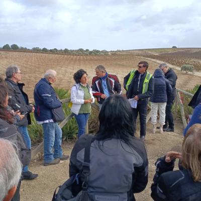019 L Esposizione Delle Morbide Colline Di Buonivini Le Terre Bianche E Calcaree L Influsso Che Sale Dall Incrocio Dei Due Mari Creano Le Condizioni Migliori Per Far Crescere Le Sue Viti Al Meglio E Dare Vita A Grandi Vini