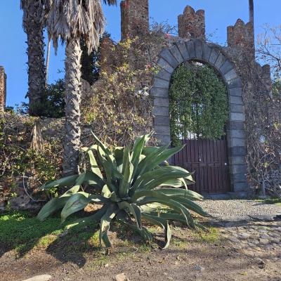 015 A Partire Dal Secondo Dopoguerra Fino Alla Meta Degli Anni 80 Era Presente Una Stazione Ferroviaria Che Collegava Il Borgo Con Motta E Regalbuto Per Il Commercio Delle Arance