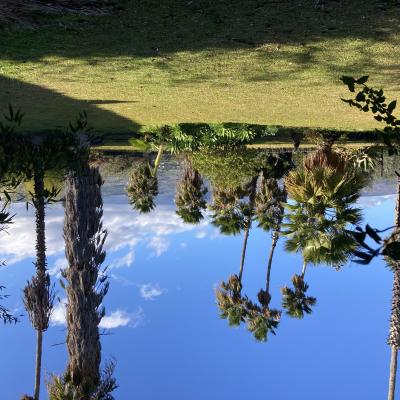 016 Oggi Ha La Quiete E Il Fascino Di Uno Stupefacente Giardino Abitato Oltre Che Da Pochissime Famiglie Dall Architettura Rurale E Coloniale Seicentesca