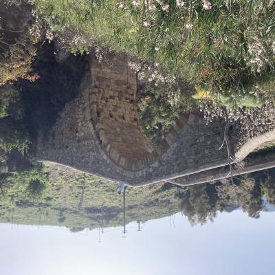 081 Il Ponte Presenta Una Struttura A Schiena D Asino Poggiato Sulla Roccia Viva Con Un Arco Ogivale A Doppia Ghiera Rampe Di Accesso E Pavimentazione Ad Acciottolato
