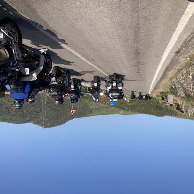 087 Al Rientro Sosta Improvvisa Dovuta Alla Precedenza Alle Mucche A Pascolo