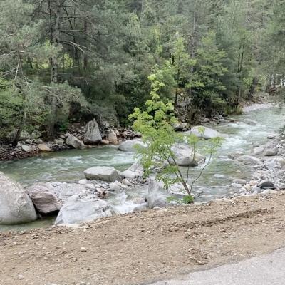 069 Percorriamo Un Breve Tratto Della D623 Nella Valle Della Restonica Costeggiando Uno Dei Fiumi Piu Grandi Della Corsica Il Tavignano Che Ha Origine Nel Lago Di Nino2