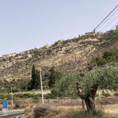 002 Al Bivio Di Agira Il Buon Guglielmo Aspetta I Ritardatari