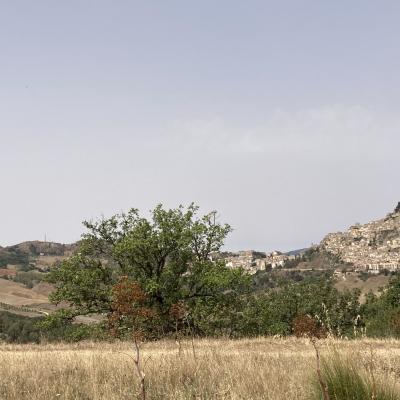 004 Nicosia