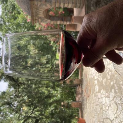 076 Vino Veritas Brindisi