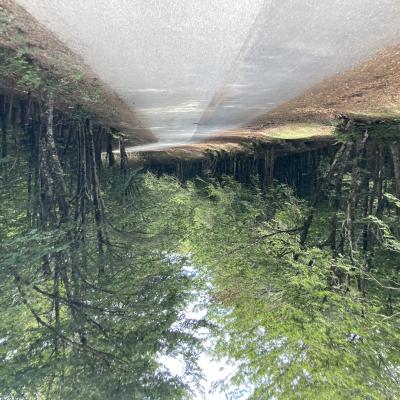 010 A Portella Femmina Morta Sulla Ss289 Ci Inoltriamo Sulla Strada Per Monte Soro