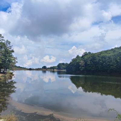 018 Il Lago Maulazzo E Un Bacino Artificiale Di Circa 5 Ettari Situato Nel Parco Dei Nebrodi Alle Pendici Del Monte Soro