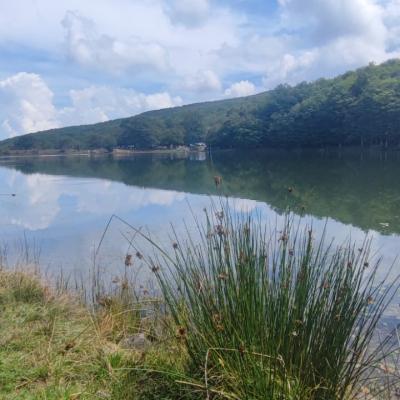 022 Il Lago Si Presenta Come Un Oasi Di Pace E Serenita Dove Il Silenzio E Rotto Solo Dal Canto Degli Uccelli E Dal Fruscio Delle Foglie Mosse Dal Vento